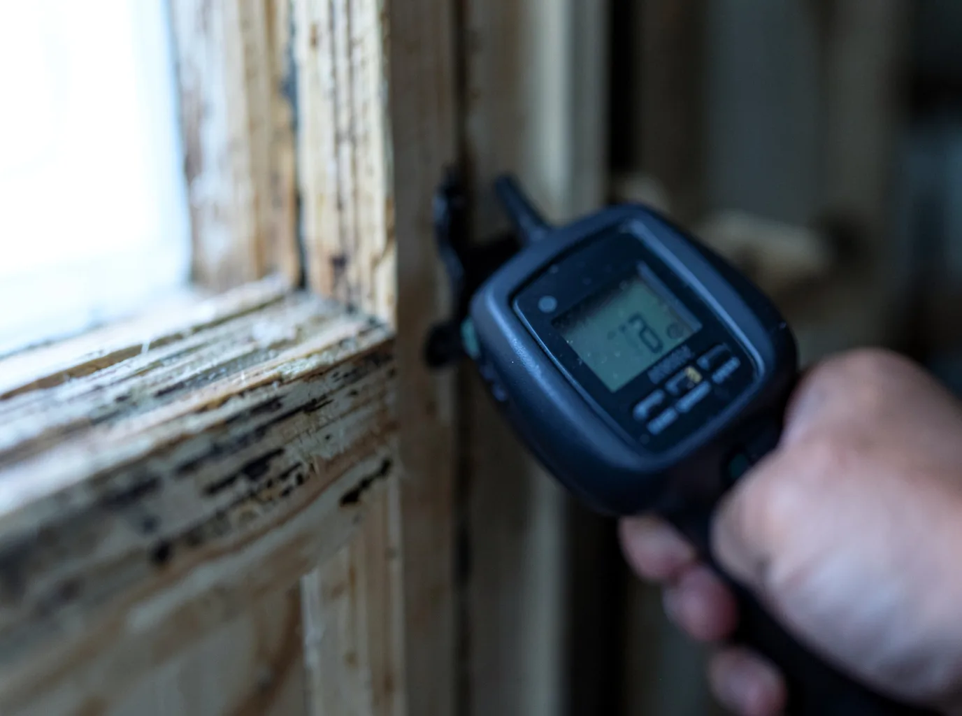 Moisture Inspection And Documentation in Leopold, IN